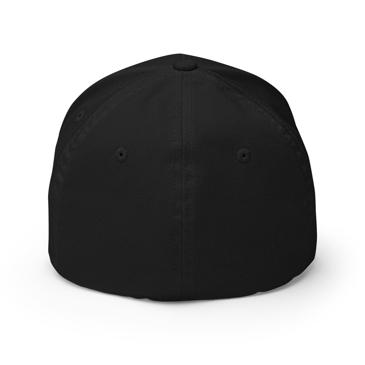 Discipline Club Signature Structured Cap in black, back
