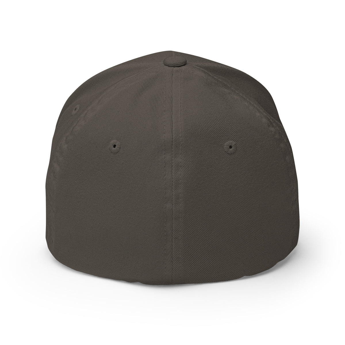 Discipline Club Signature Structured Cap in grey, back