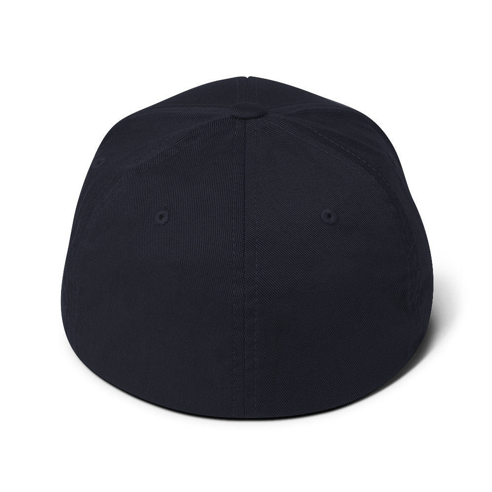 Discipline Club Crest Structured Cap in navy, back