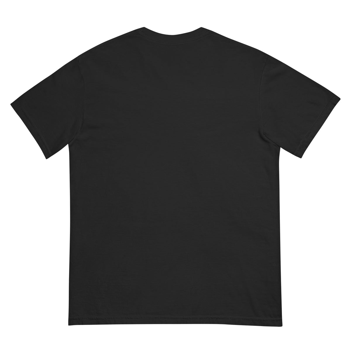 Discipline Over Everything Training Tee in black, back