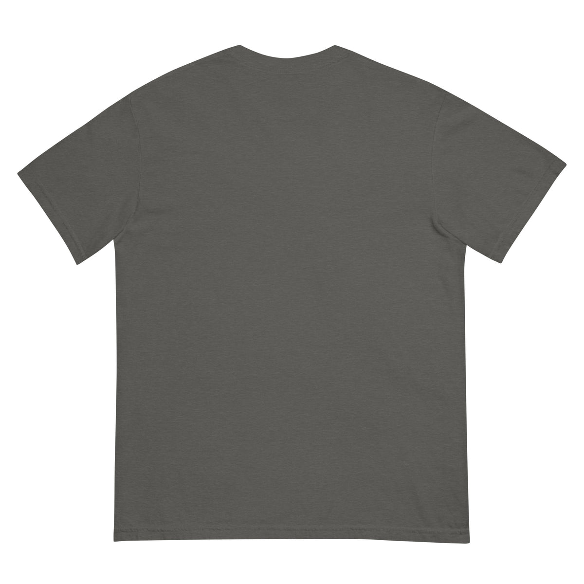 Discipline Over Everything Training Tee in grey, back